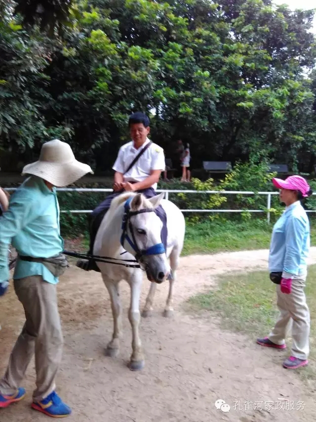 ���ҷ���׌��������á�2015��B�T�м�����(ji��)��ӣ�