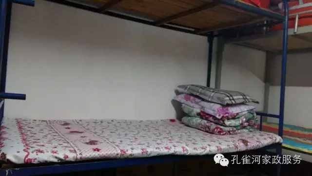 ��ȸ�Ӽ�����ķ������ů��ů��������