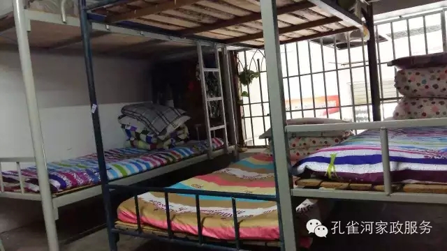 ��ȸ�Ӽ�����ķ������ů��ů��������