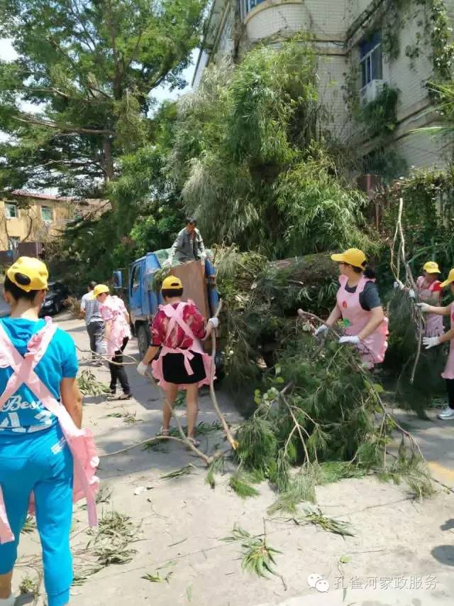 ��������y���������