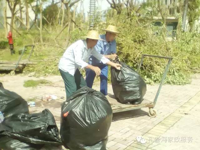 ��������y���������