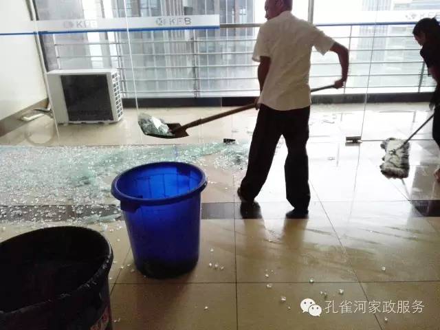 ��������y���������