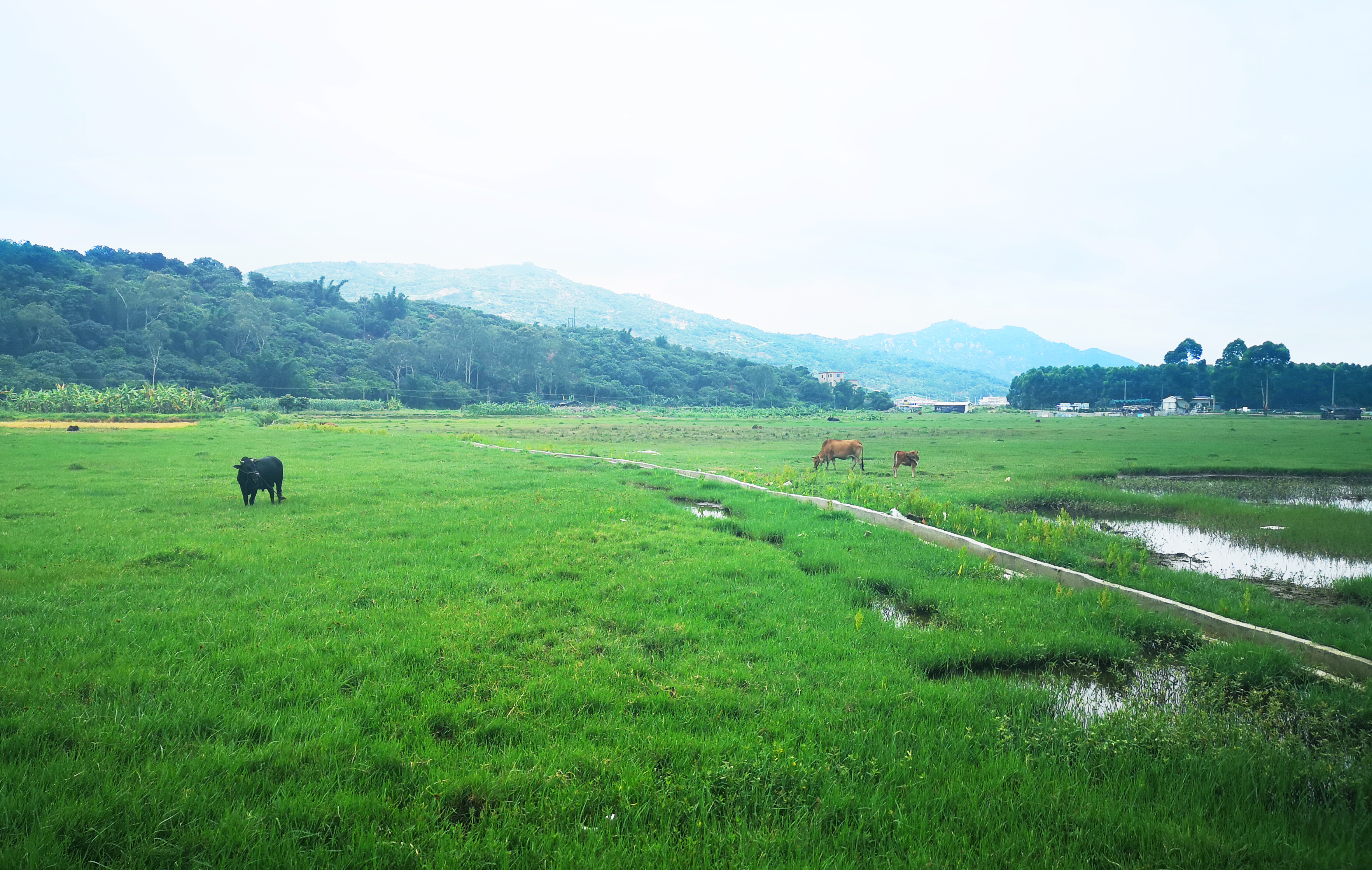 ���؄e��Ϣ���@�ε��ի@�H�S����ȸ���H�ӻ��(d��ng)�����Y(ji��)������