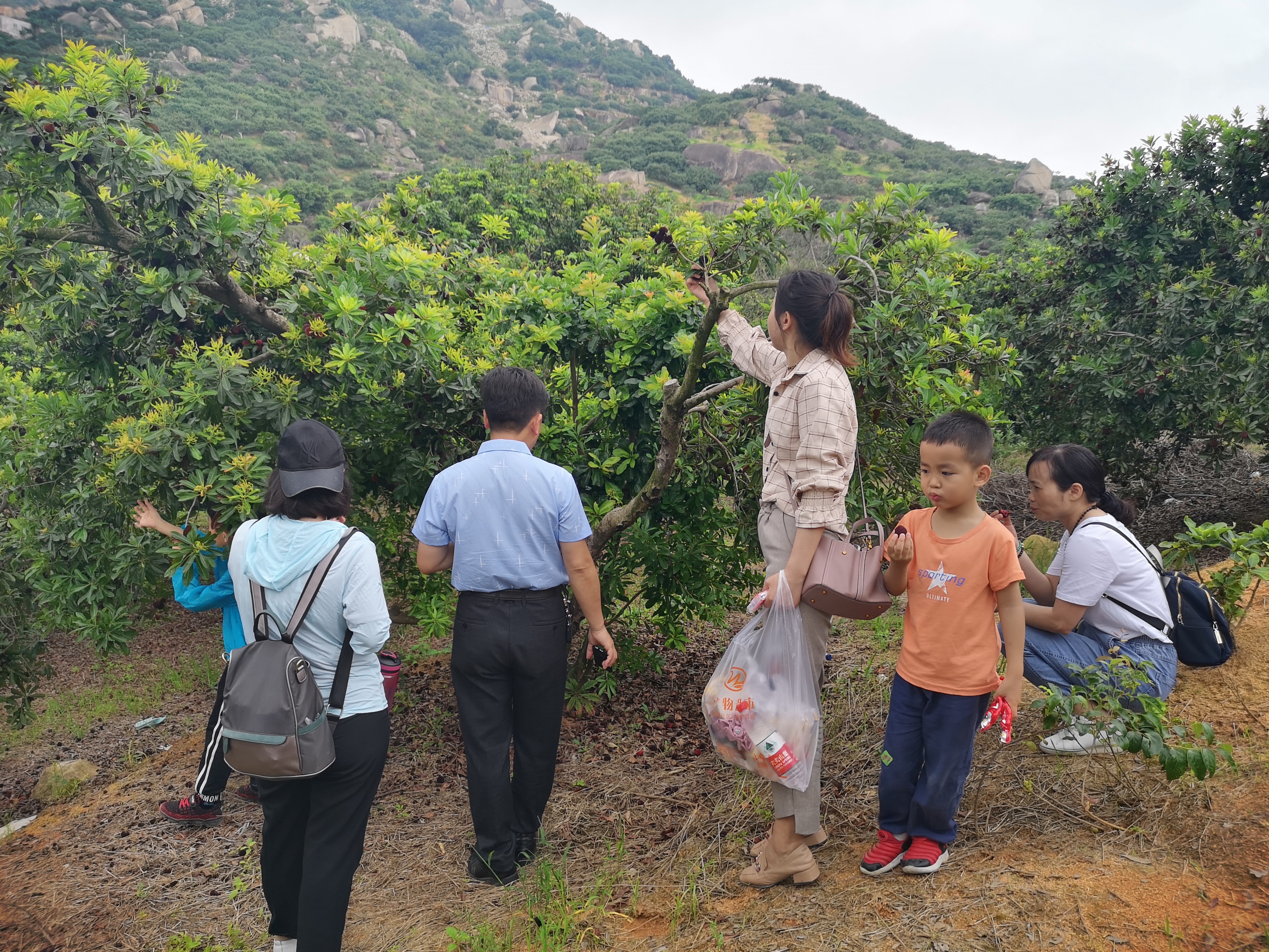 ���؄e��Ϣ���@�ε��ի@�H�S����ȸ���H�ӻ��(d��ng)�����Y(ji��)������