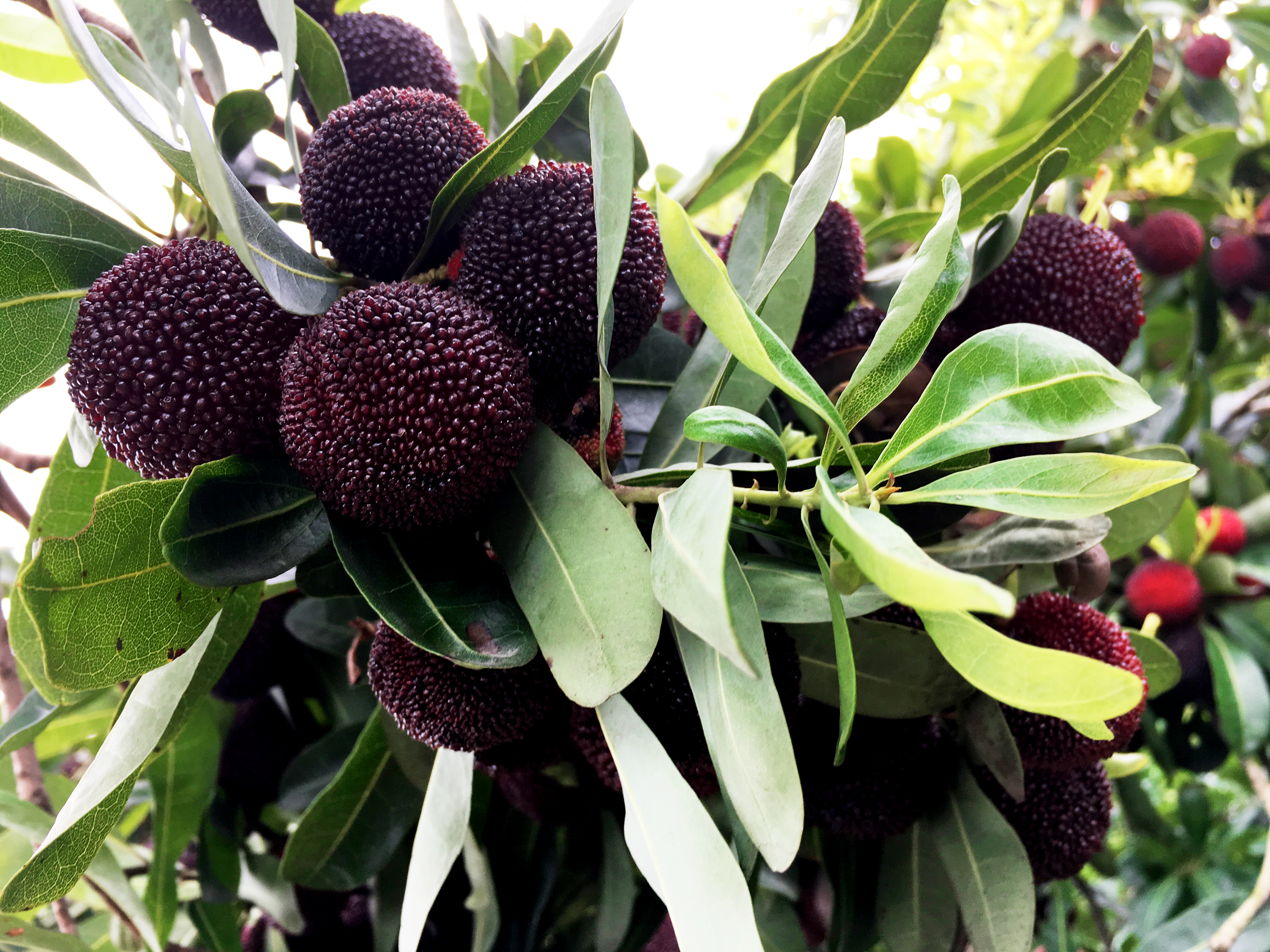 ���؄e��Ϣ���@�ε��ի@�H�S����ȸ���H�ӻ��(d��ng)�����Y(ji��)������