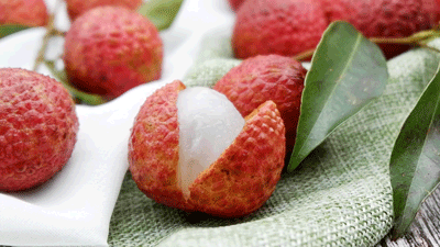 ��֦����һ���@��������ȸ����ɩ��Ӗ(x��n)���f��