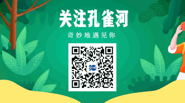 ��֦����һ���@���⣬��ȸ����ɩ��Ӗ(x��n)���f��